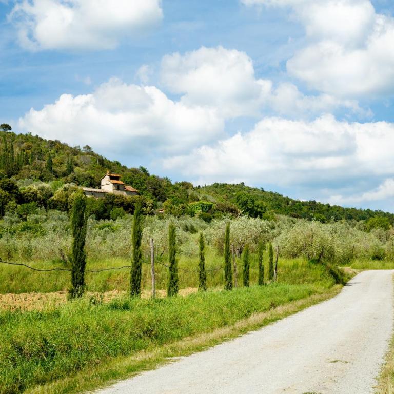 Elegant 2-Bedroom Holiday Home in Tuscan - Two-Bedroom Holiday Home - 37