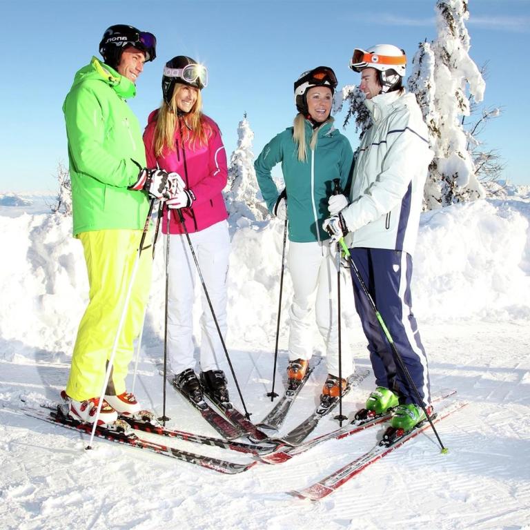 Apartment in Flachau near Ski Slopes - One-Bedroom Apartment - 29