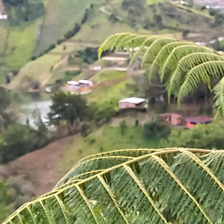 Eco Lodge Glamping - NABU GLAMPING - 23