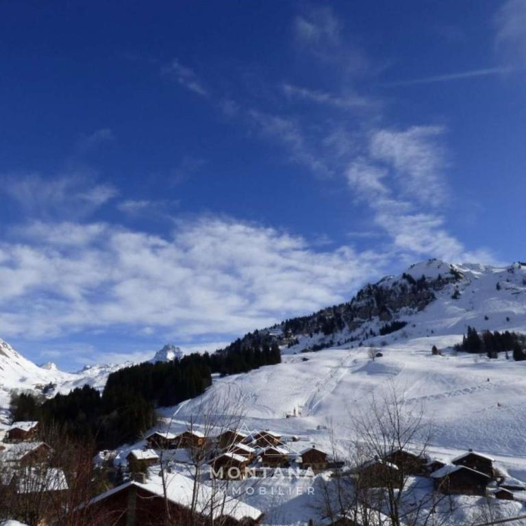 Appart. 2 pièces + coin montagne, 6 pers., proche pistes - Le Grand-Bornand - FR-1-458-244 - Appartamento - 9