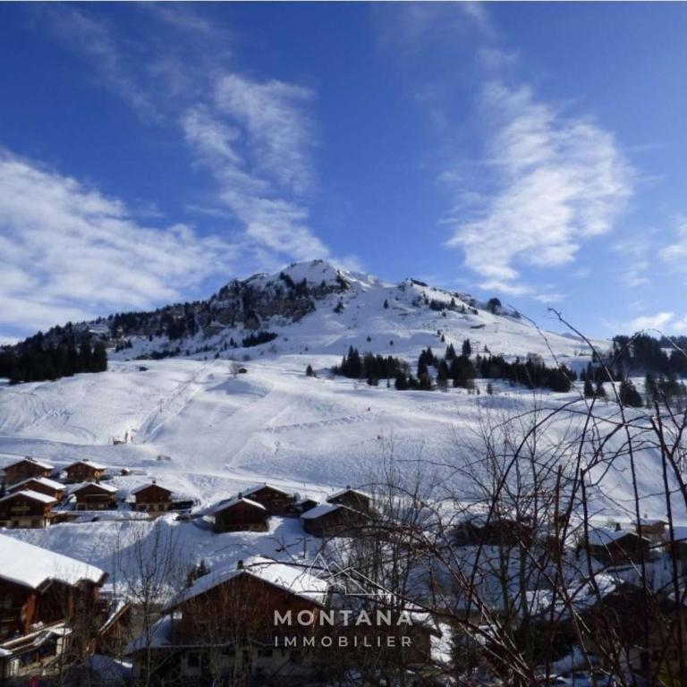 Appart. 2 pièces + coin montagne, 6 pers., proche pistes - Le Grand-Bornand - FR-1-458-244 - Appartamento - 11