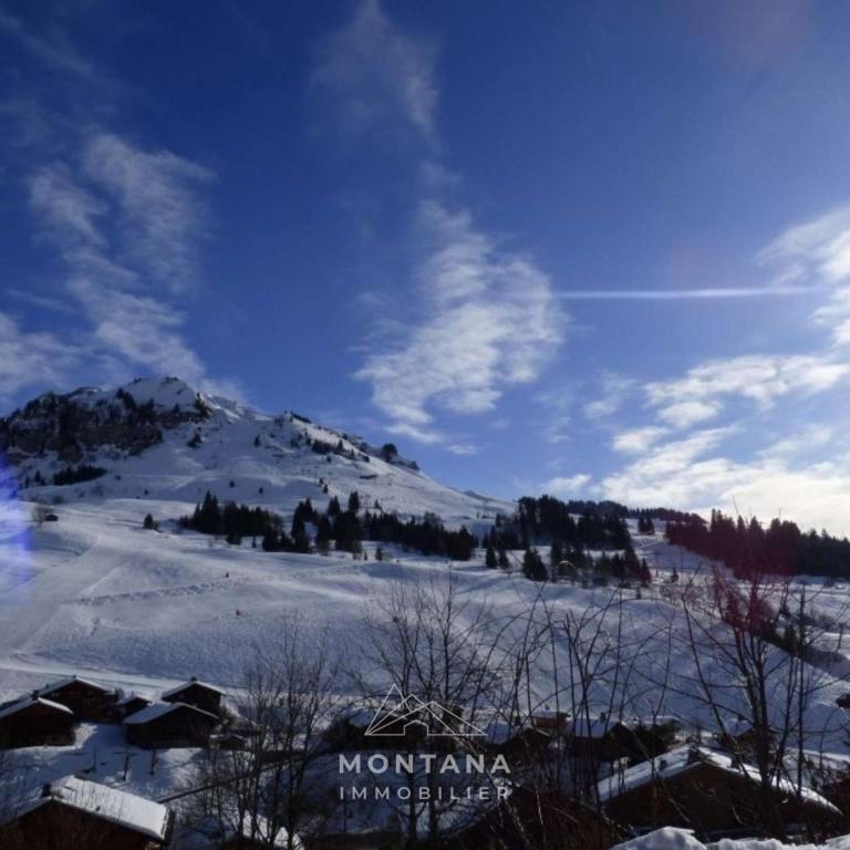 Appart. 2 pièces + coin montagne, 6 pers., proche pistes - Le Grand-Bornand - FR-1-458-244 - Appartamento - 14