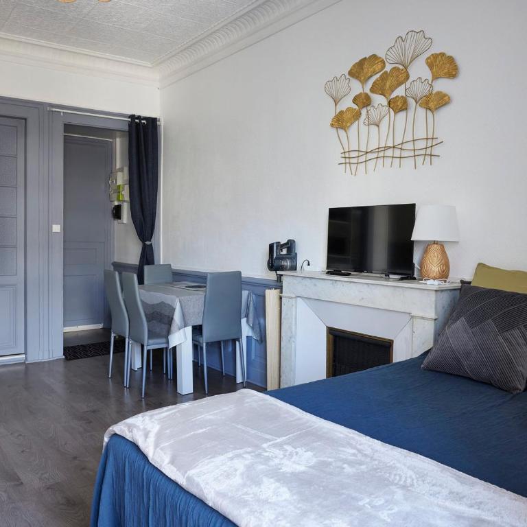 Charmant studio rénové en centre-ville, balcon, animaux acceptés, Wifi - FR-1-555-118 - Estudio - 2