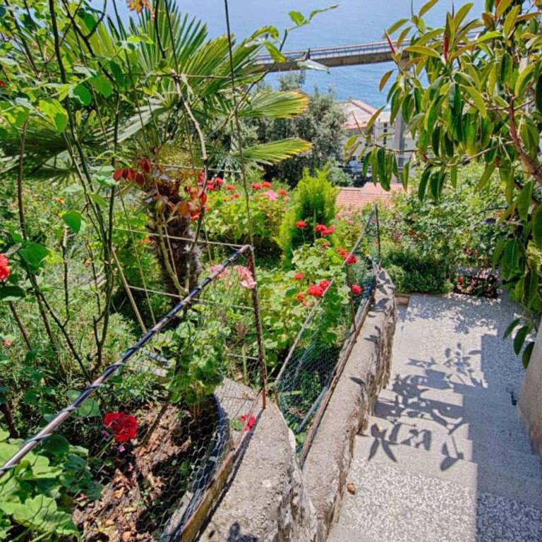 Villa Blue Dreams - Apartman sa Pogledom na More - 24