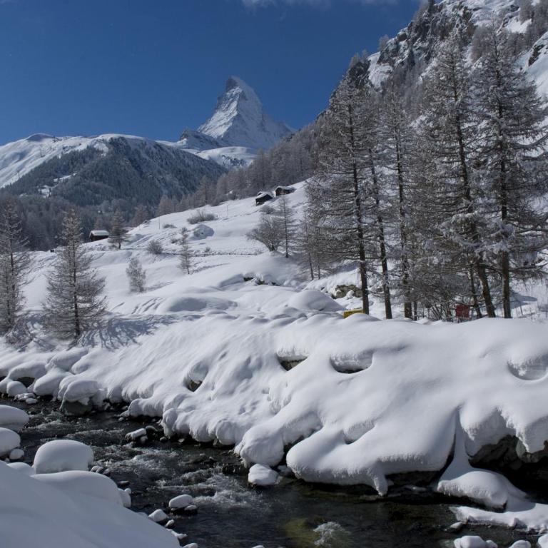 Hotel Garni Testa Grigia - Einzelzimmer - 5