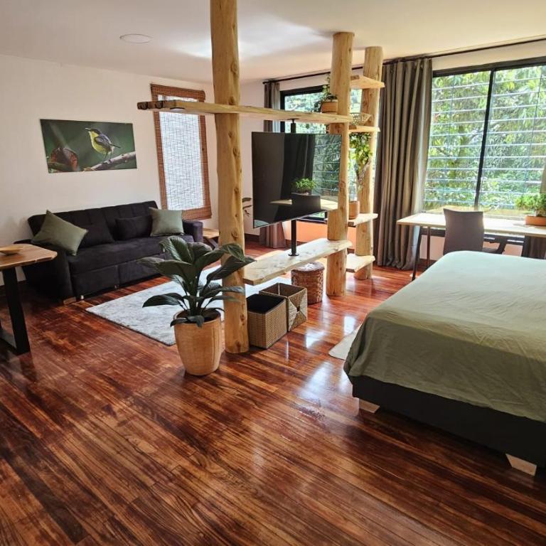 Casa Alba - Suite Deluxe - 4