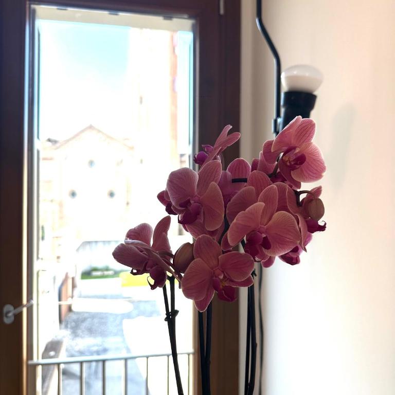 San Francesco Green apartment - Appartamento con 2 Camere da Letto - 27