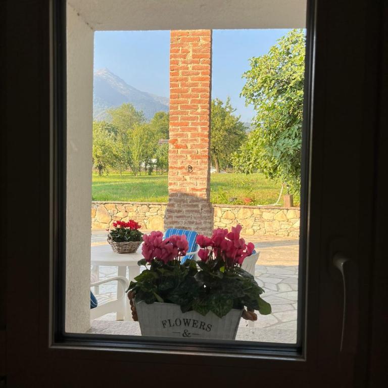 Casa in campagna - Casa de 3 dormitorios - 21