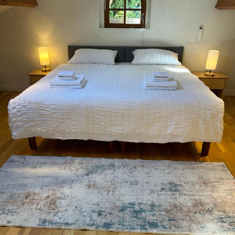 Charming apartment in Cannes - Appartement 1 Chambre - 25