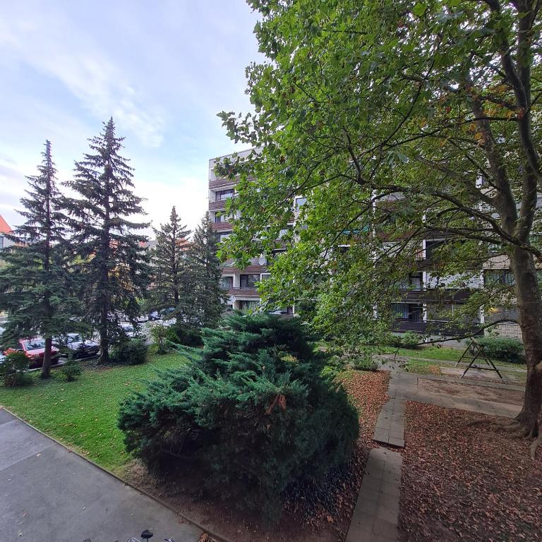 Einladend Graz - Apartamento de 1 dormitorio - 36