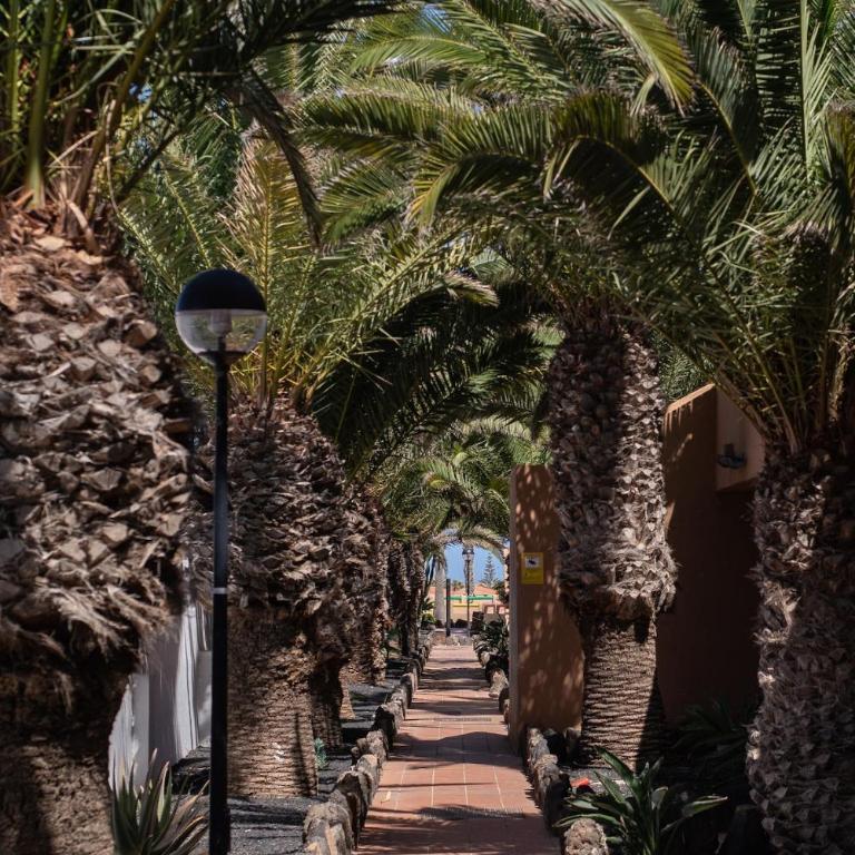 Salty Casa - Oasis Duna - Corralejo Center - One-Bedroom Apartment - 20