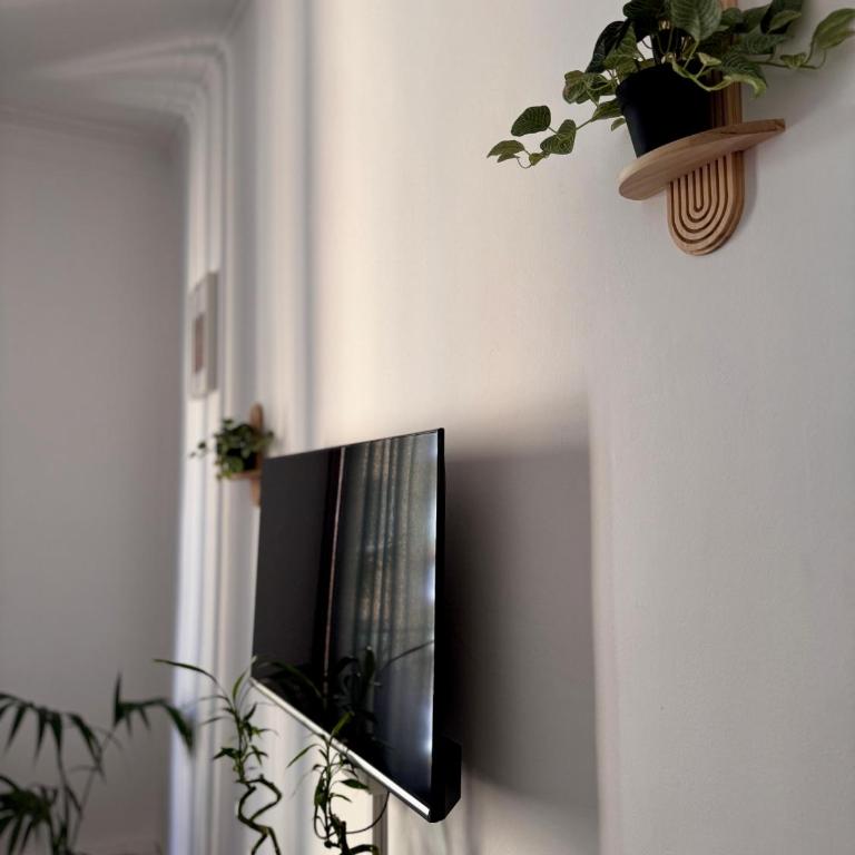 Three bedroom apartment in the centre of the city - Appartamento - 3
