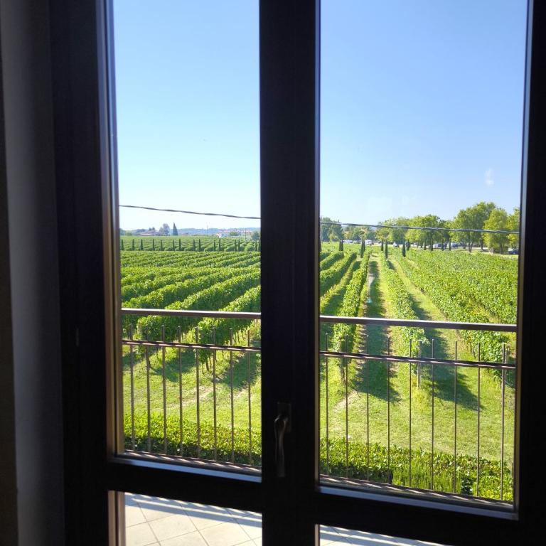 SG Family - Girasole Apartment - Apartment with Pool View - 29