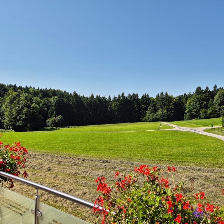 Landhaus Dersch - Studio avec Terrasse - 14