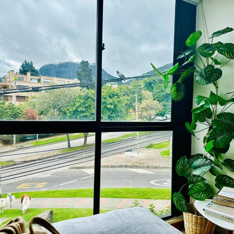 Fully equipped apt at trendy historic center - Apartamento de 3 dormitorios - 1