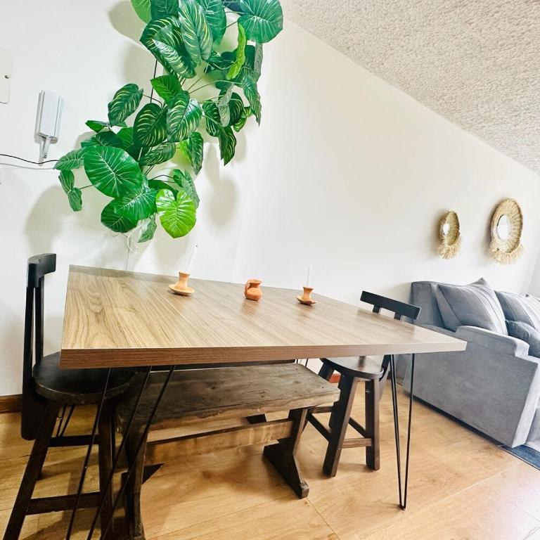 Fully equipped apt at trendy historic center - Apartamento de 3 dormitorios - 6