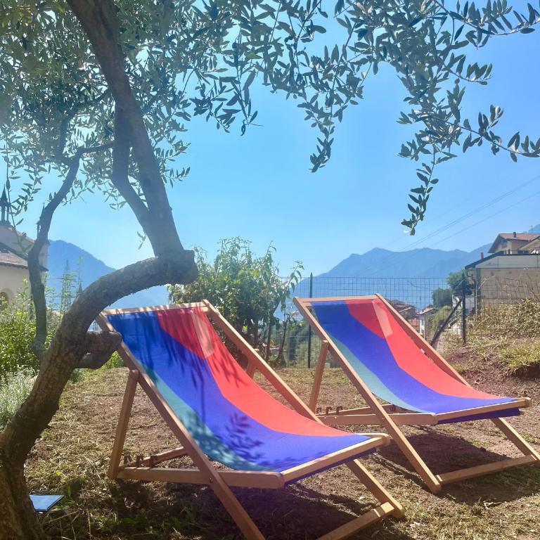 Villa Augusta Lecco Lake Como - Casa con 1 Camera da Letto - 7