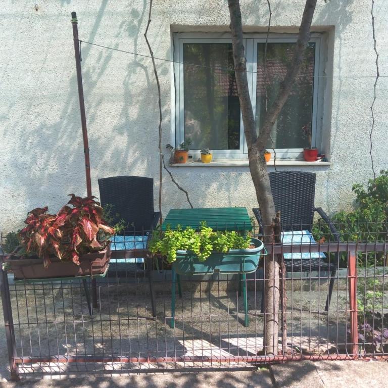 Apartman Eldar - Apartman - 15