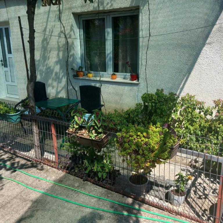 Apartman Eldar - Apartman - 17
