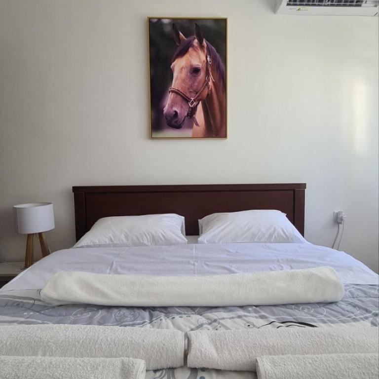 Vila Marija - Apartman sa 2 Spavaće Sobe - 36