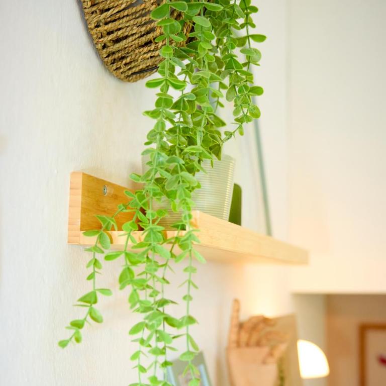 Casa Miù Miù - One-Bedroom Apartment - 13