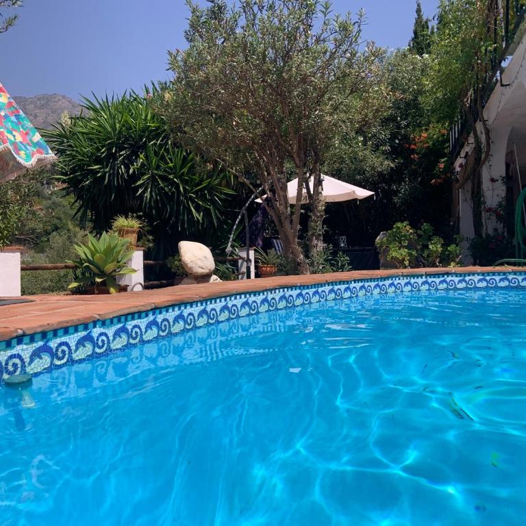 Apartment Casa Casandra , Urbanisation Dona Pilar - beautiful, peaceful & tranquil - Apartamento de 1 dormitorio - 3