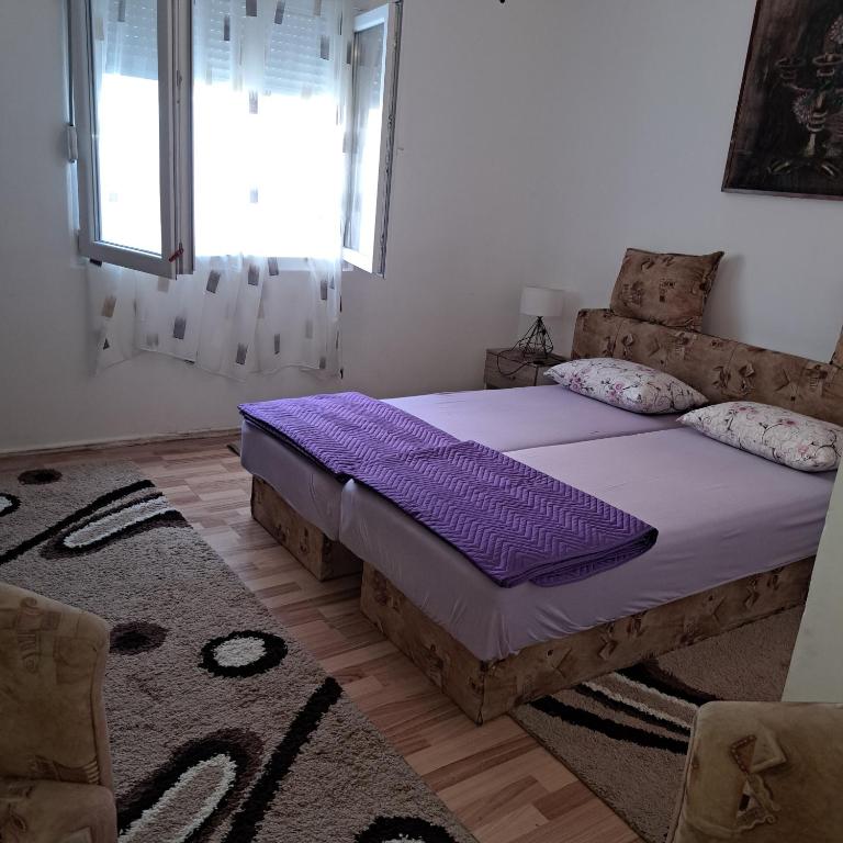 Vesna - Apartman sa 2 Spavaće Sobe - 8