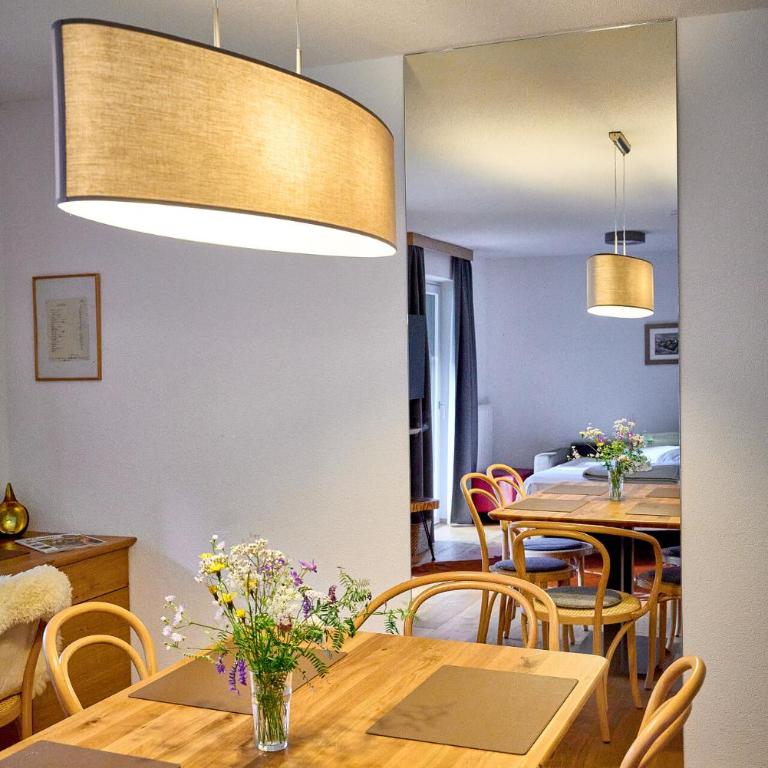 Apartments Hohenberger Mallnitz - Bahnhofsshuttle bei An- und Abreise inklusive - Apartment mit Aussicht und Balkon - 11