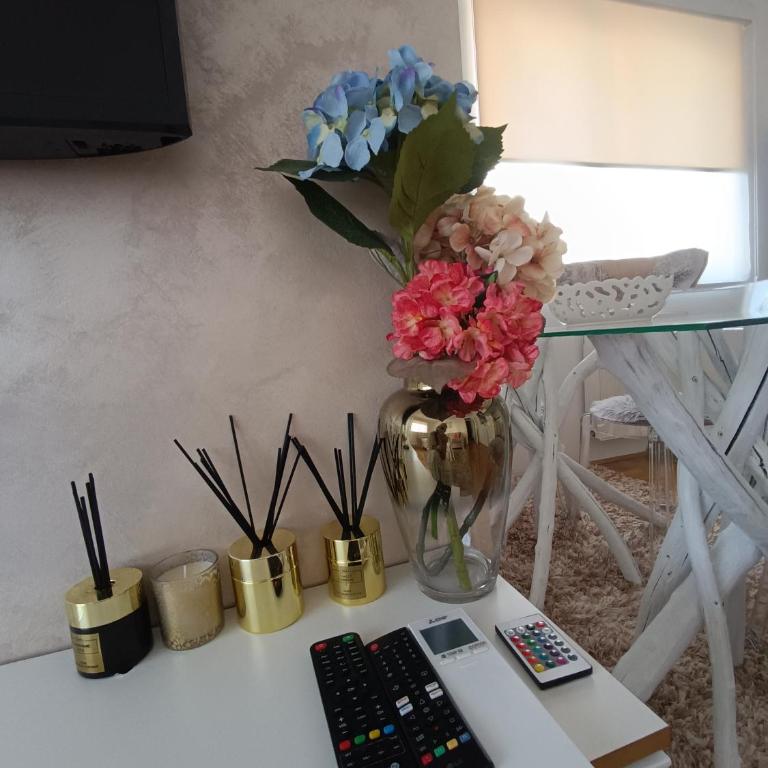 Apartman Samsara - Apartman sa 1 Spavaćom Sobom - 30