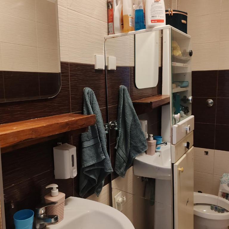 Mountain view - Apartman sa 2 Spavaće Sobe - 12