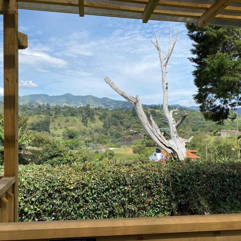 Hermoso chalet en marinilla - Chalet de 1 dormitorio - 33