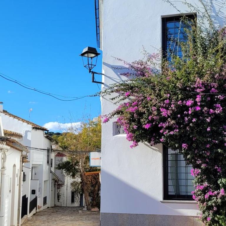 Apartamento con Jardín en 2a línea de mar - Apartamento de 2 dormitorios - 16