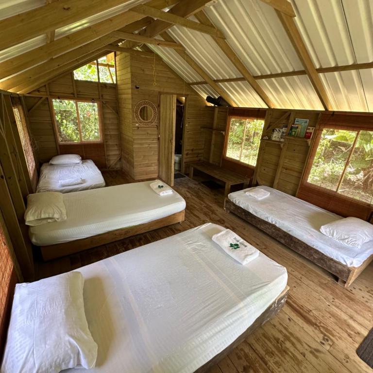 Hibiscus House Nuquí - Casa con 1 dormitorio - 3