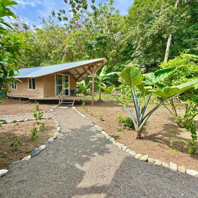 Hibiscus House Nuquí - Casa con 1 dormitorio - 1