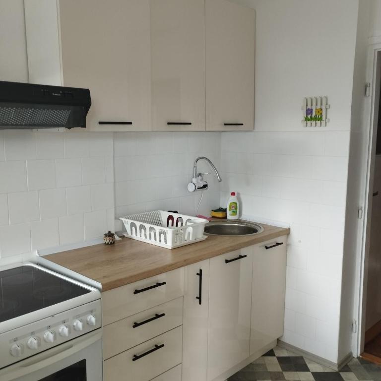Ivkova gajba - Apartman sa 2 Spavaće Sobe - 9