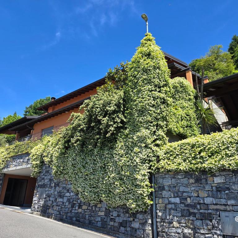 La BuCa - Como - Elegant apartment, 150 sq m - Private covered parking - Private terrace - Just 1500 mt from downtown - Appartamento con 2 Camere da Letto e Terrazza - 24