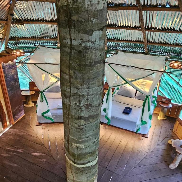 Casa del árbol - Kiosko el Tacana - Apartamento de 1 dormitorio - 4