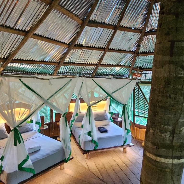 Casa del árbol - Kiosko el Tacana - Apartamento de 1 dormitorio - 1