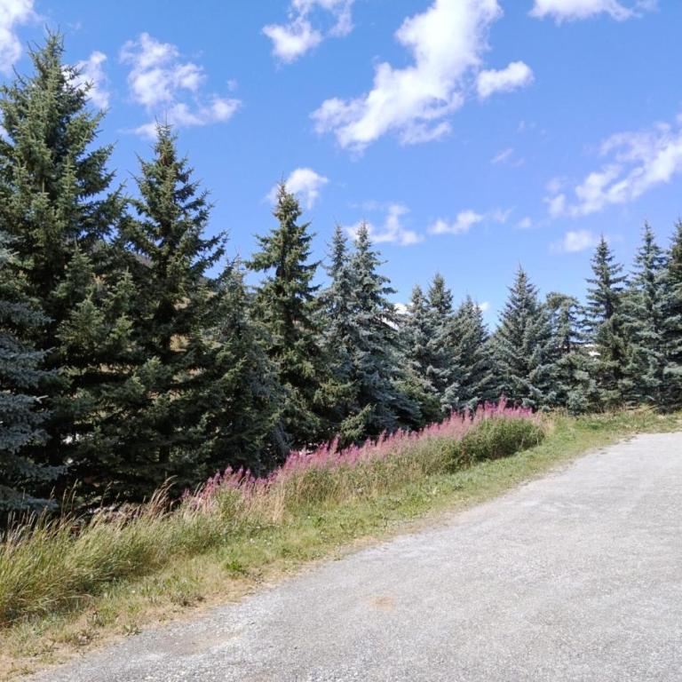 Résidence L'Hostellerie - maeva Home - Studio + coin cabine vue montagne 6 personnes - Budget MAE-2763 - Studio - 14