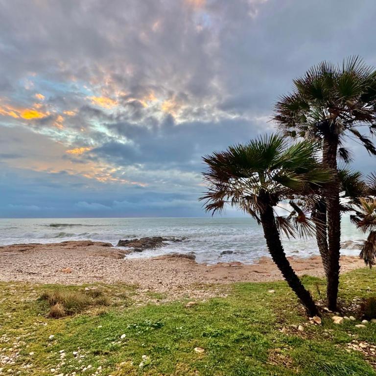 Relax frente al mar - Tu bajo con vistas - Two-Bedroom Apartment - 43