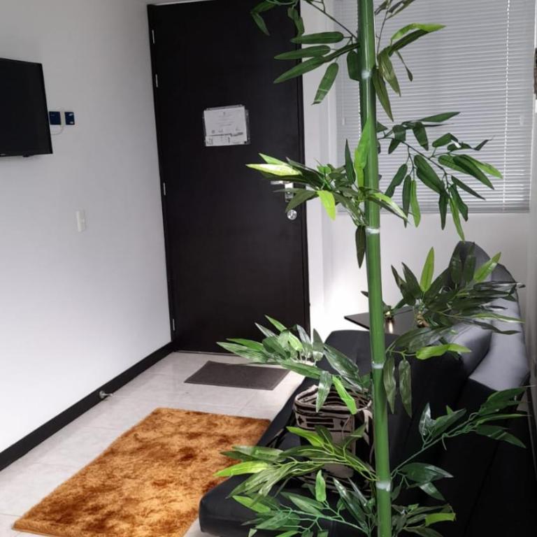 Lindos Apartamentos Economicos en el Eje Cafetero - Apartamento de 2 dormitorios - 27