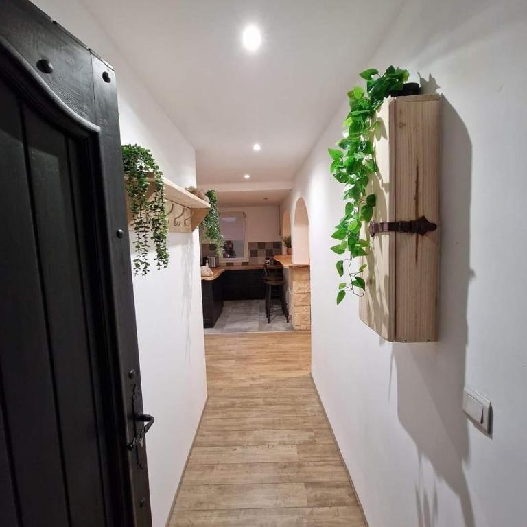 Beautiful beachfront apartment - Appartement 1 Chambre - 6