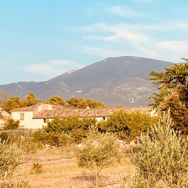 La Bastide des Margauds - Maison 2 Chambres - 9