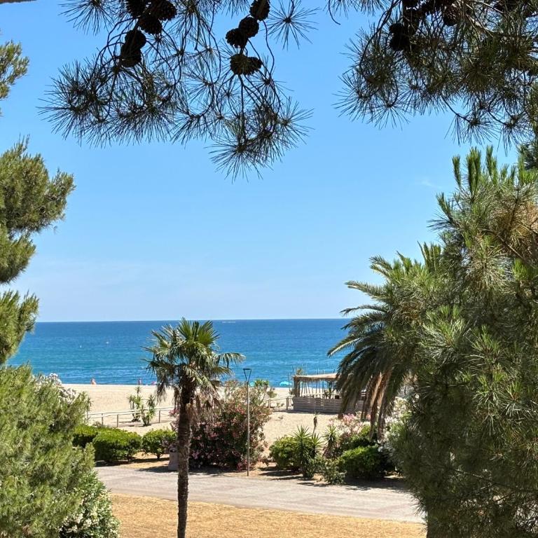 Face à la mer, T2 vue incroyable - Appartement 1 Chambre - 10