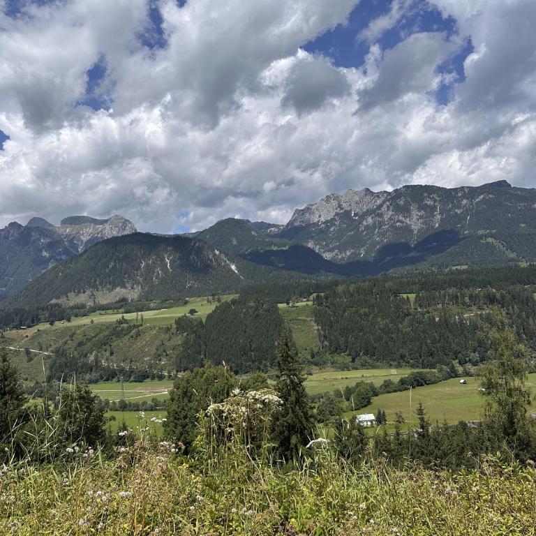 Alpenlodge Haus - Summer resort with Schladming-Dachstein Card - Apartment mit 2 Schlafzimmern - 43