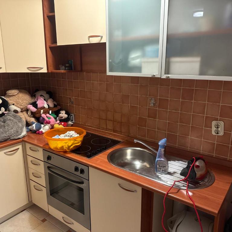 Stan na dan Dami - Apartman sa 1 Spavaćom Sobom - 2