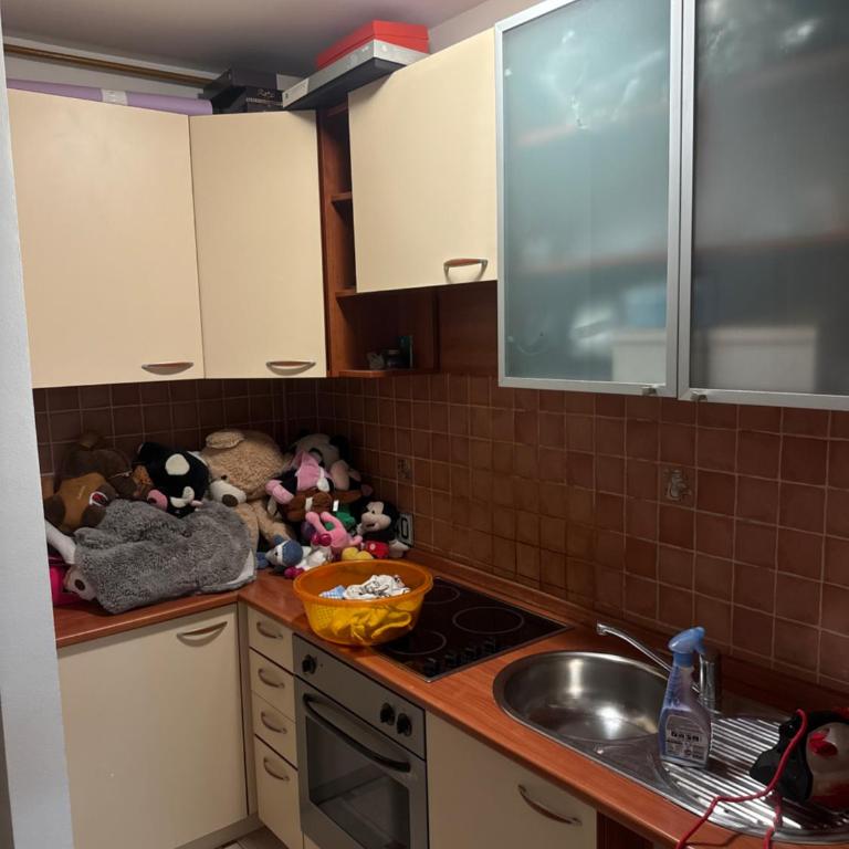 Stan na dan Dami - Apartman sa 1 Spavaćom Sobom - 6