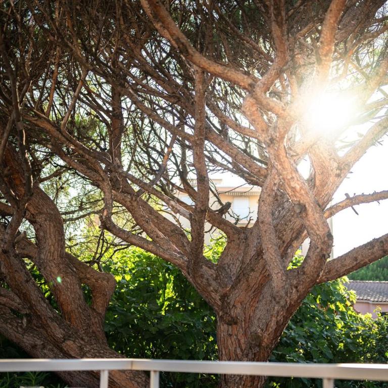 Calme et lumineux à 5min du port et des plages - Appartamento con 1 Camera da Letto - 14