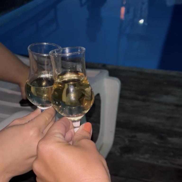 Splav na Savi KALIVARIJA - Vila sa 1 Spavaćom Sobom - 56