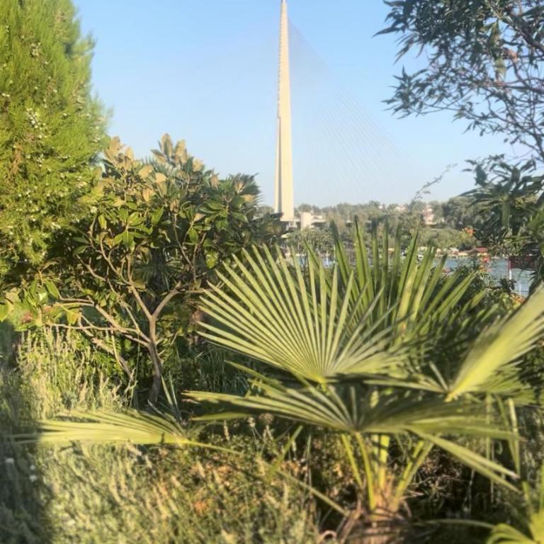 Splav na Savi KALIVARIJA - Vila sa 1 Spavaćom Sobom - 56